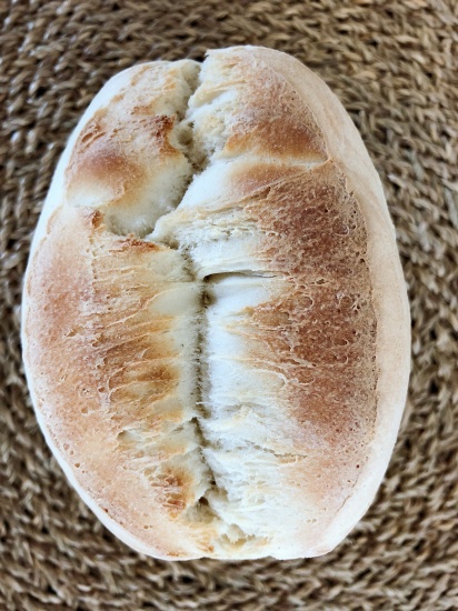 Panecillo ovalado de corteza consistente y tierna miga característico de la panaderia mallorquina. Ideal para bocadillos.